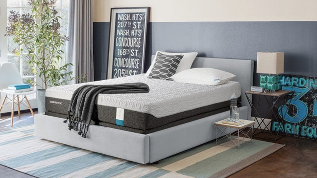 Tempur-Pedic Tempur-Cloud Loft Soft Mattress | $1409-$1799 | Amazon
